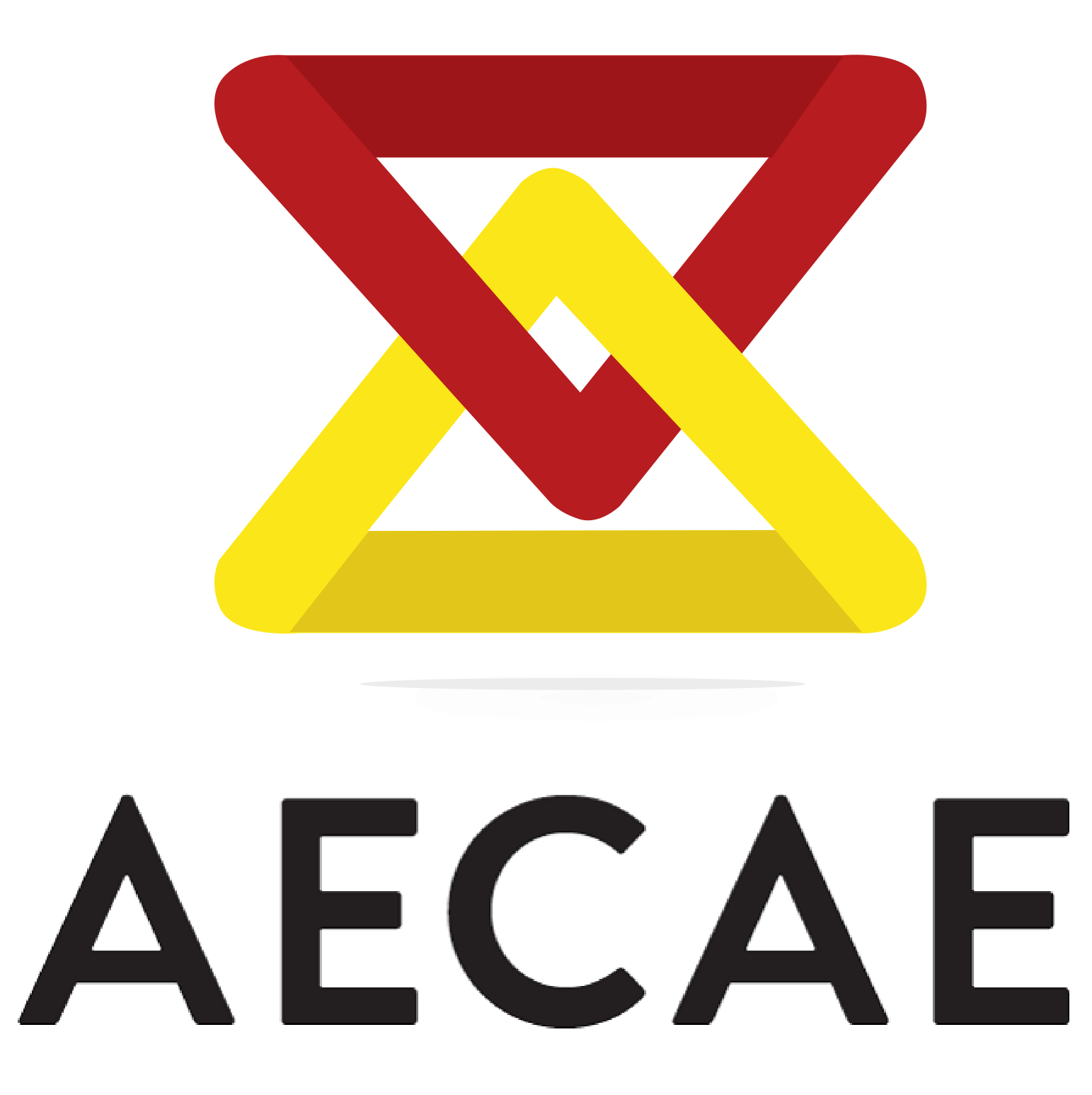 The Spanish association AECAE joins EFESME to strengthen the representation of European lift SMEs